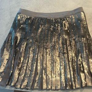 Silver Sequined Holiday Skirt